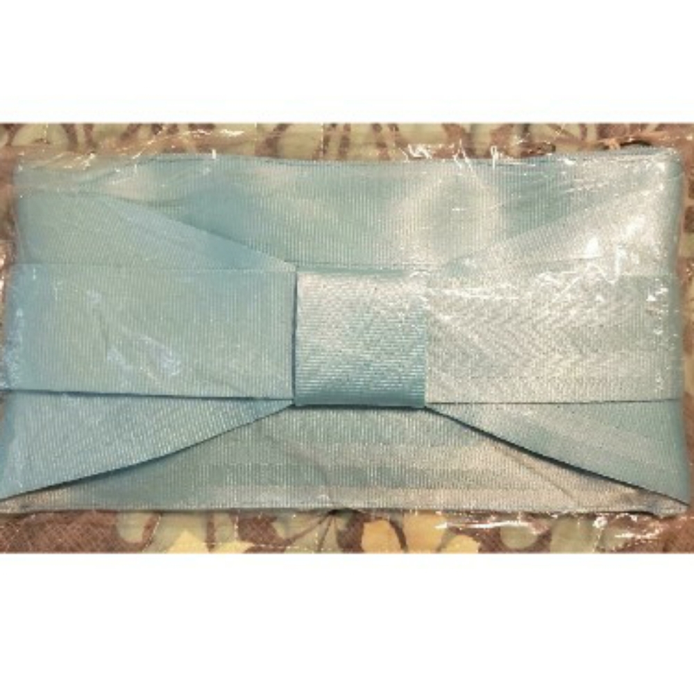 Robins egg mini clutch